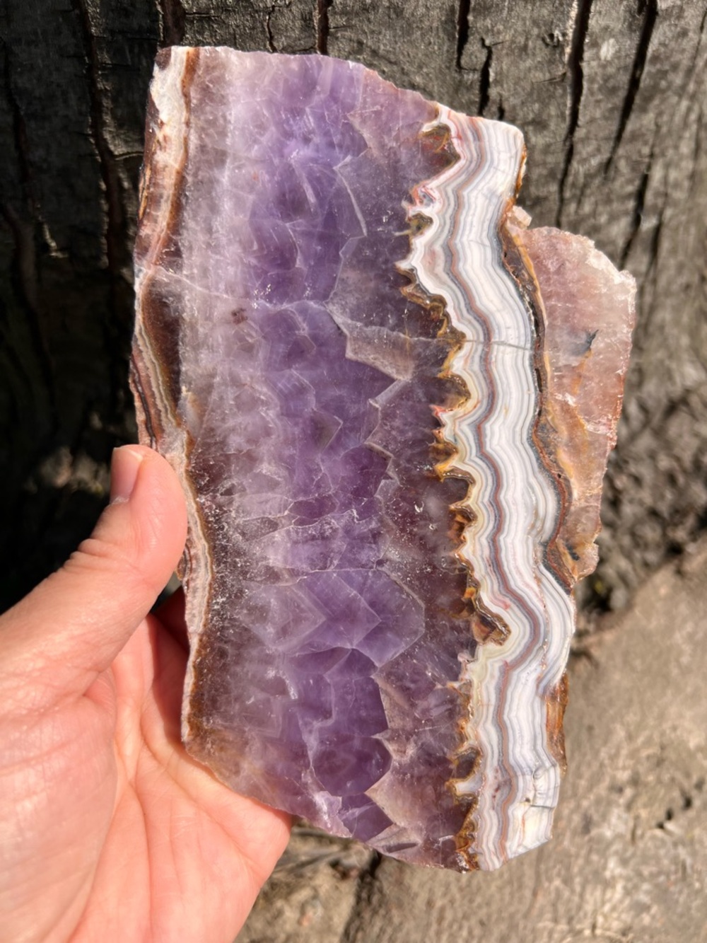 Amethyst (5) lace agate slab with stand | crystal